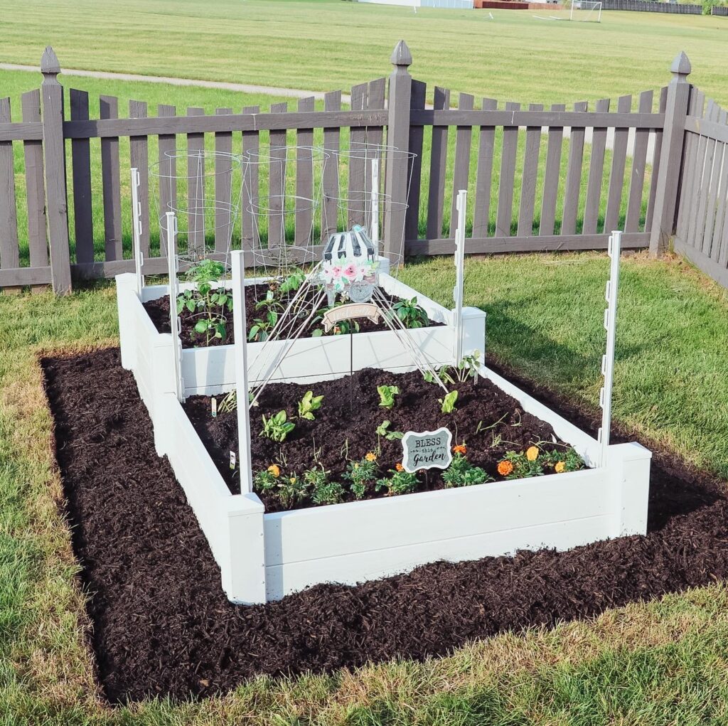 how to plann a raised bed vegetable garden